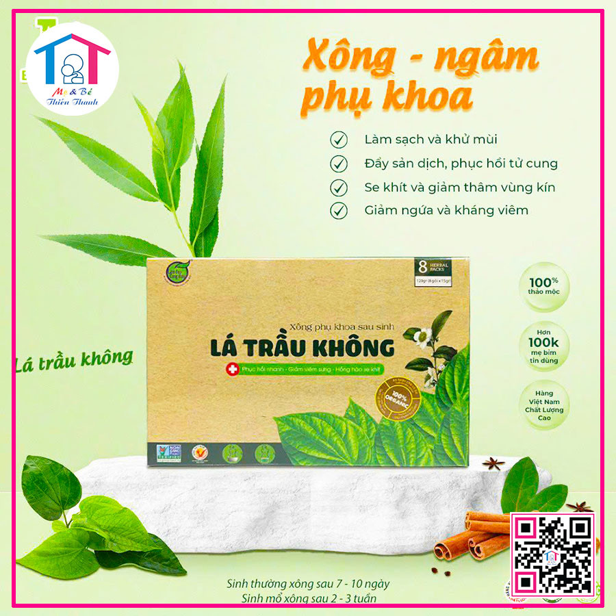 Lá trầu không Bảo Nhiên
